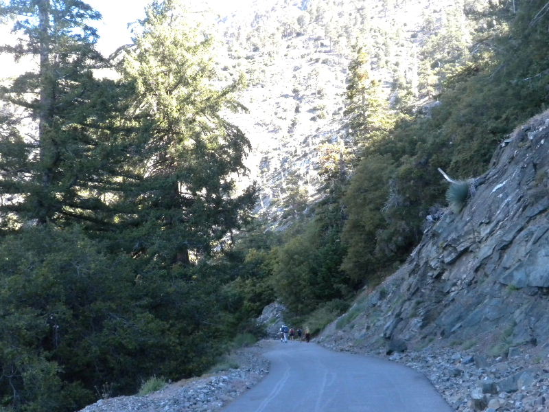 baldy70410 008.jpg